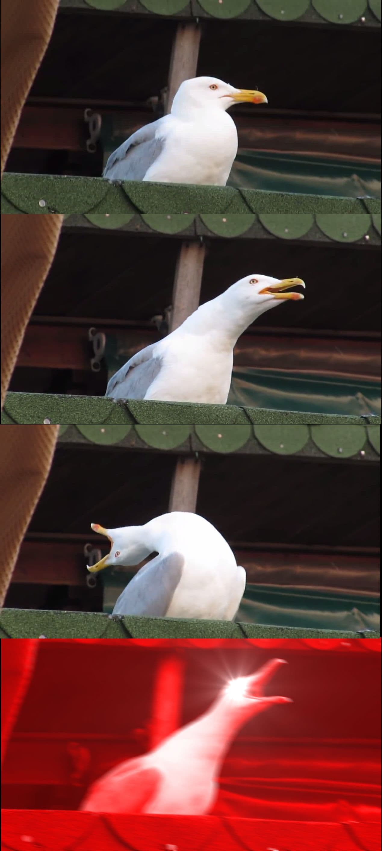 Funny meme about Daily Life: Something we've all felt at least once.